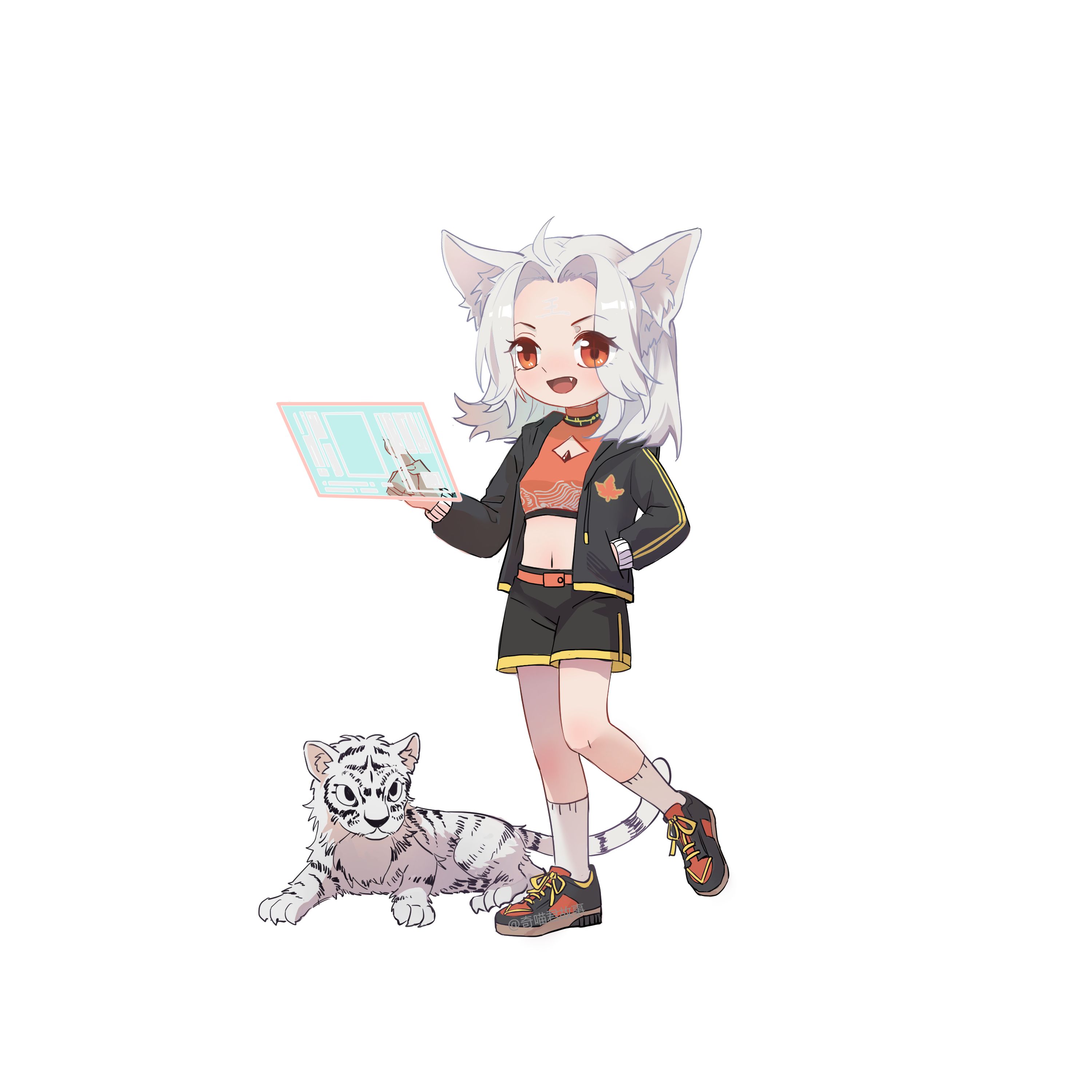 猫七夜之御龙少年