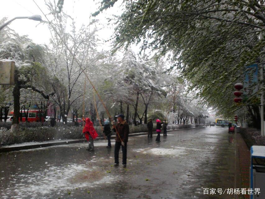 炎热夏季欣赏乌鲁木齐雪景，有很凉爽感觉，尤其雪天的梅花很美艳_百科TA说