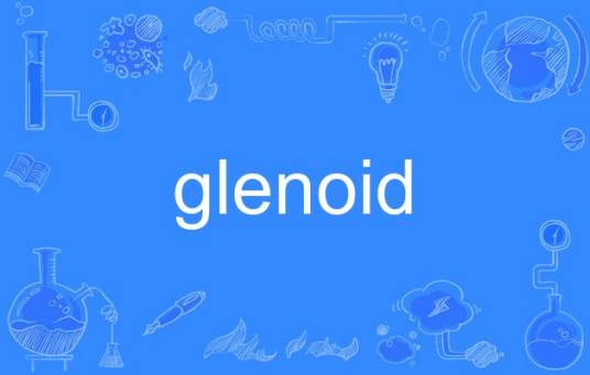 glenoid_百度百科