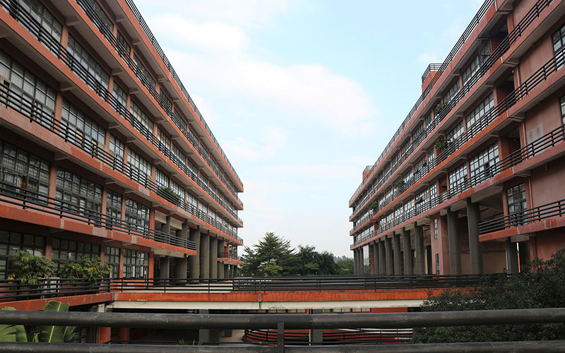  p data-id="gnsyzygc3p">广州美术学院( i>the guangzhou academy of