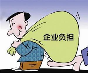 关于做好2015年减轻企业负担工作的通知