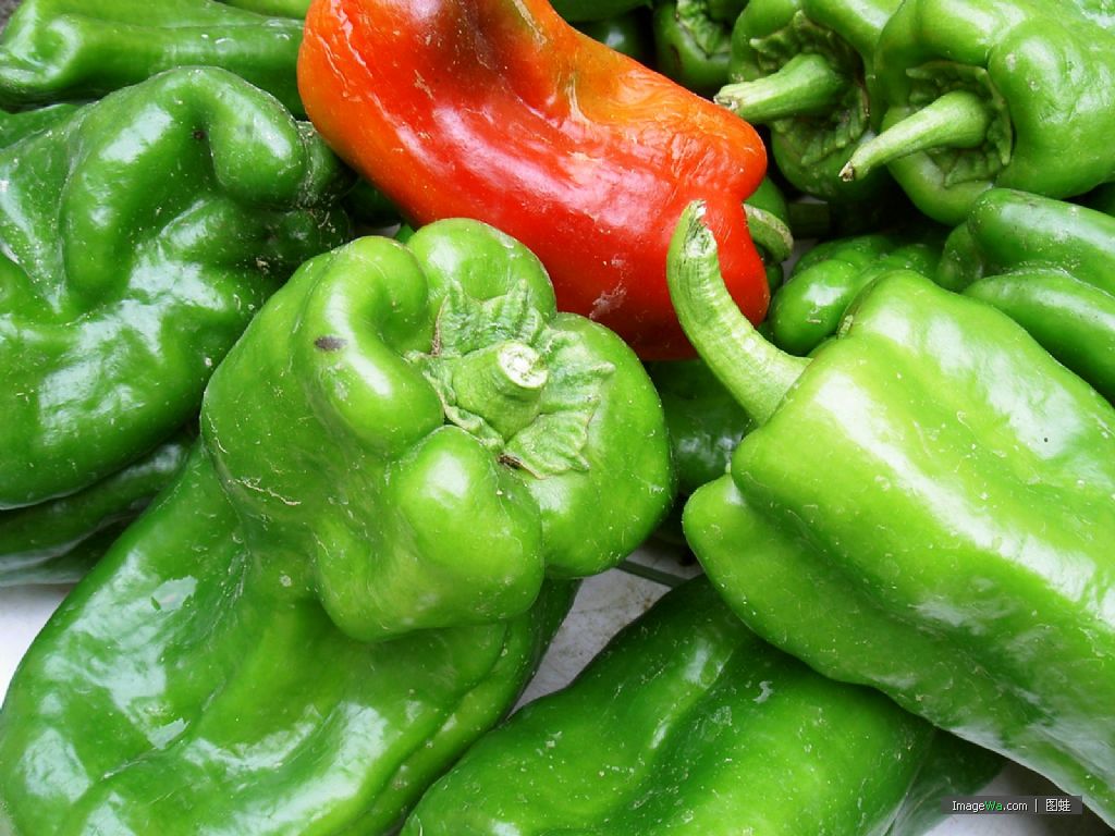  p>灯笼辣椒,地方名大辣子,圆辣子, a target="_blank" href="/item