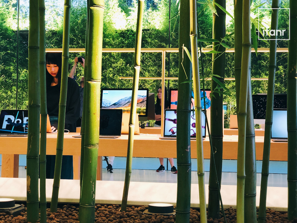 我来到中国第 50 家 Apple Store，里面有一大片竹林_百科TA说