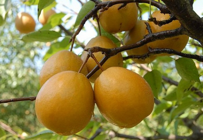 广西壮族自治区桂林市 a target="_blank" href="/item/灌阳县