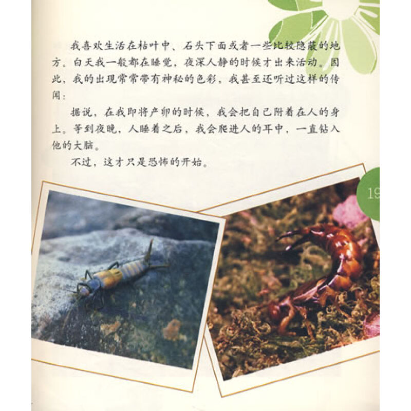 十大恐怖动物