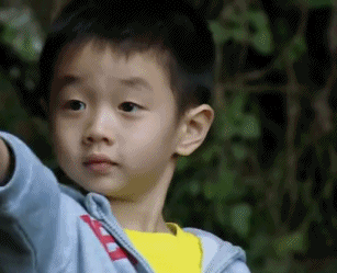  p data-id="gntngu3qqc">杨文昌,小名杨阳洋,2009年11月6日出生于