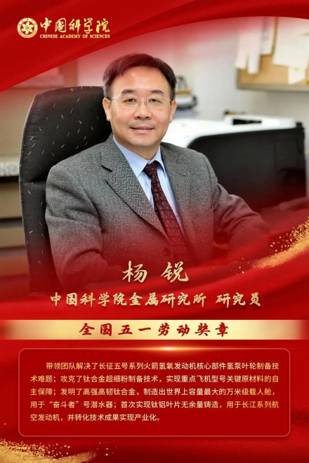 杨锐（中国科学院金属研究所轻质高强材料研究部主任，研究员）_百度百科