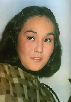 胡锦（中国台湾女演员）_百度百科