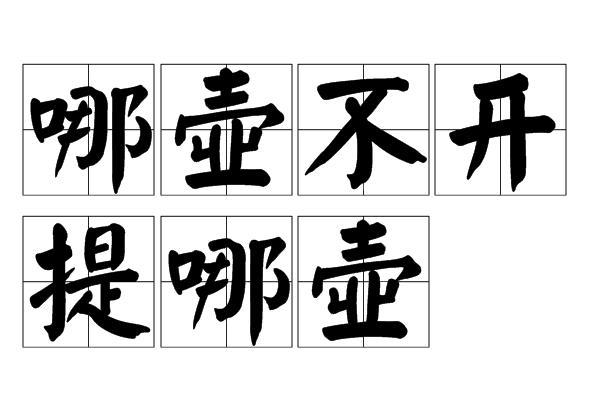 哪壶不开提哪壶