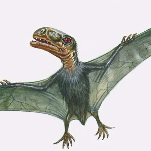  p>[a]蛙嘴龙科的 a target="_blank" href="/item/翼龙/82426" data