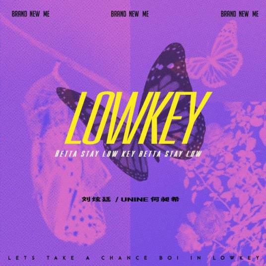 LOWKEY（何昶希、刘炫廷共同作词作曲并演唱的歌曲）_百度百科