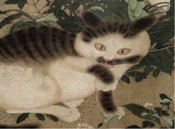 一点都不土的土猫在国内外的文化区别_百科TA说