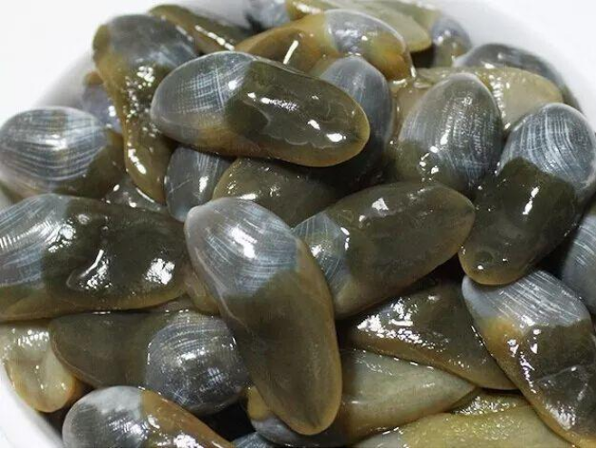 从美食角度讲述泥螺文化_百科TA说