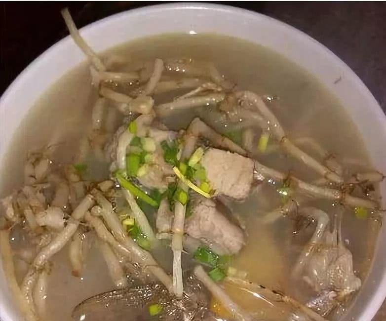 鱼腥草煲猪肺汤