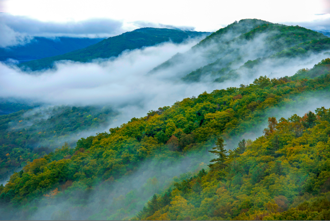 青山