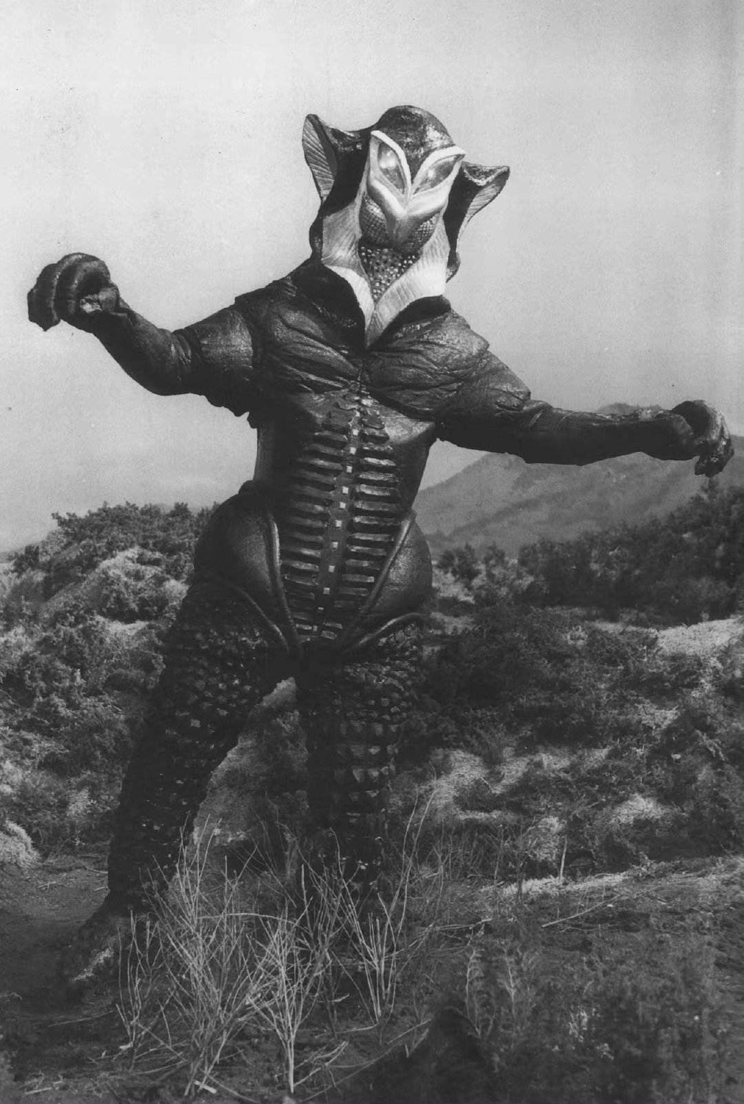 恶劣宇宙人美菲拉斯星人
