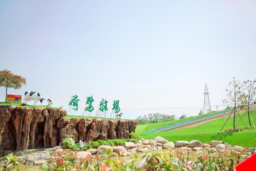 p data-id="t0x8hnn966yr">荷鹭牧场位于衢州市衢江区高家镇,开放