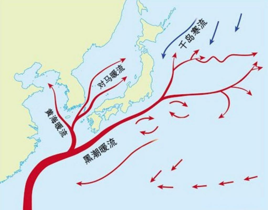 日本暖流_百度百科