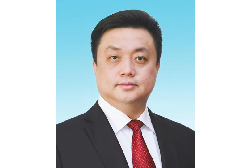 党组成员,临西县委书记,临西轴承工业园区