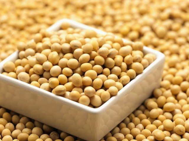 大粒黄豆