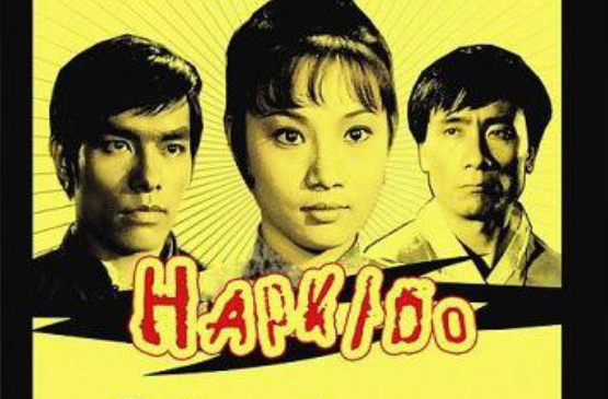 合气道hapkido(1972)