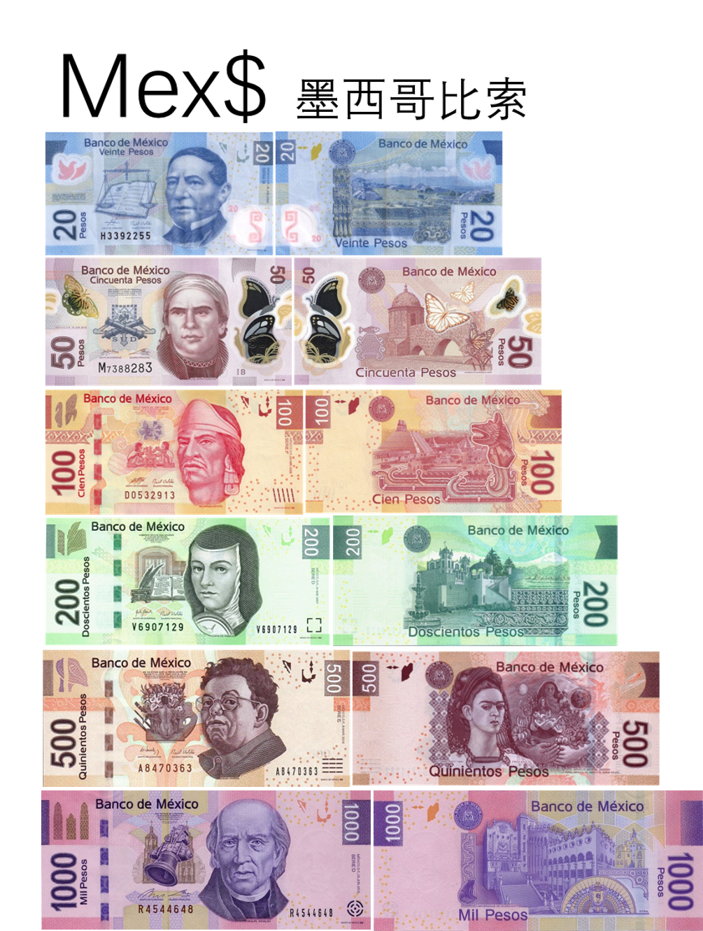  p data-id="go0d662yp5">墨西哥比索(peso mexicano), a target="