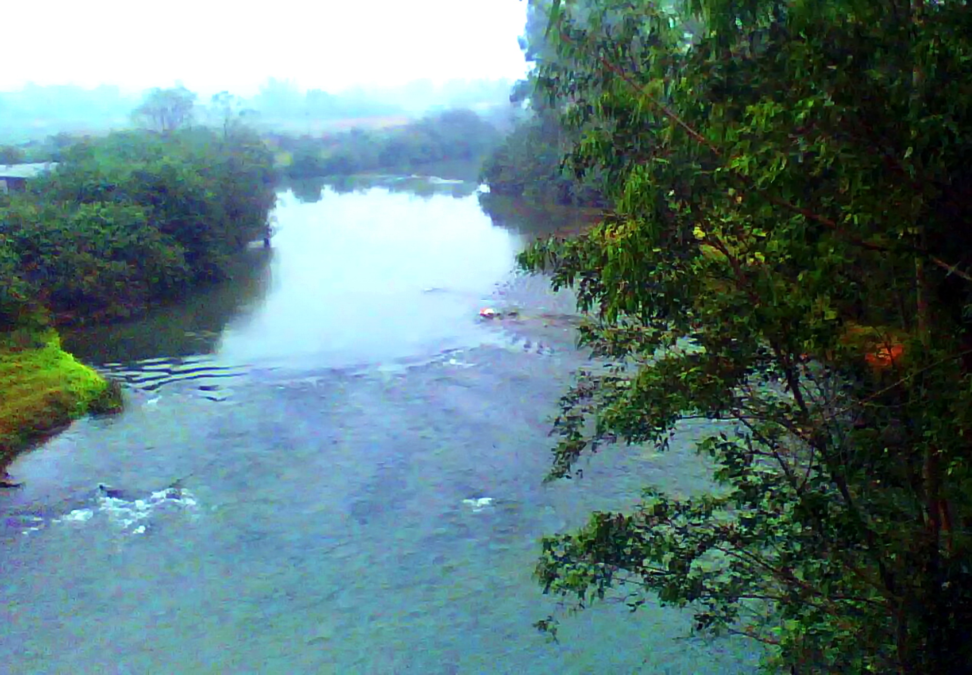 广西博白县龙潭镇