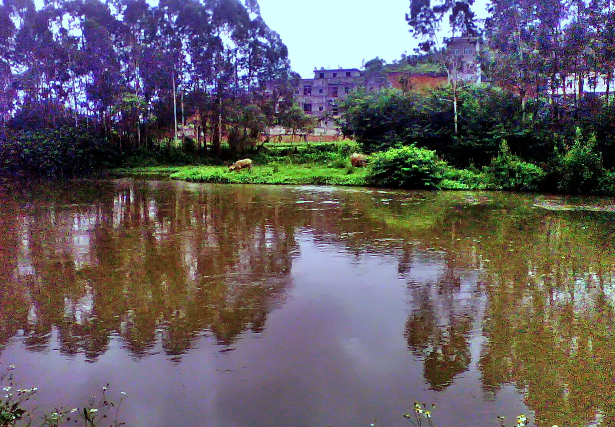 广西博白县龙潭镇