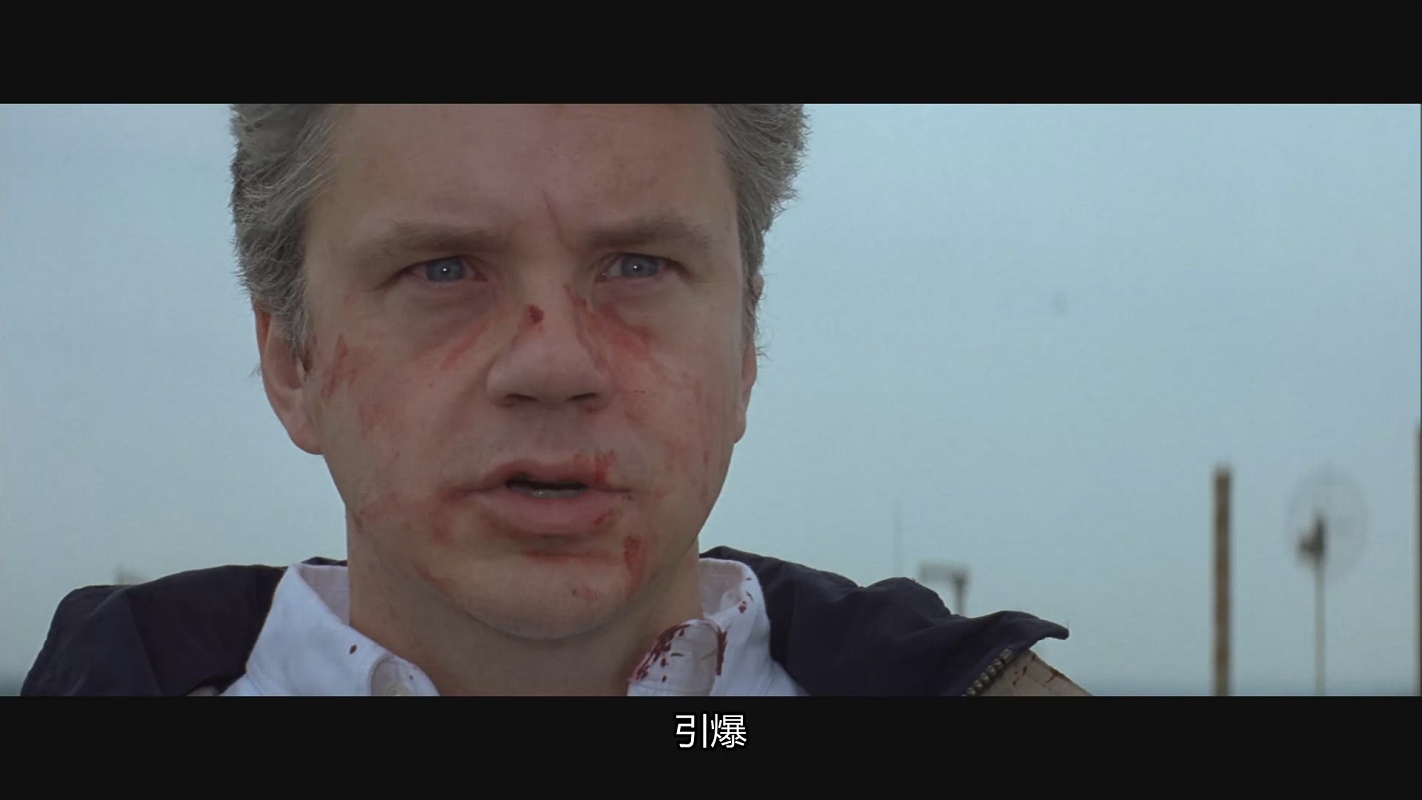 无懈可击arlingtonroad(1999)