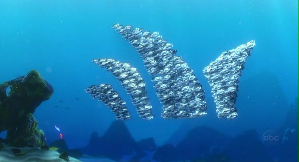 海底总动员剧照