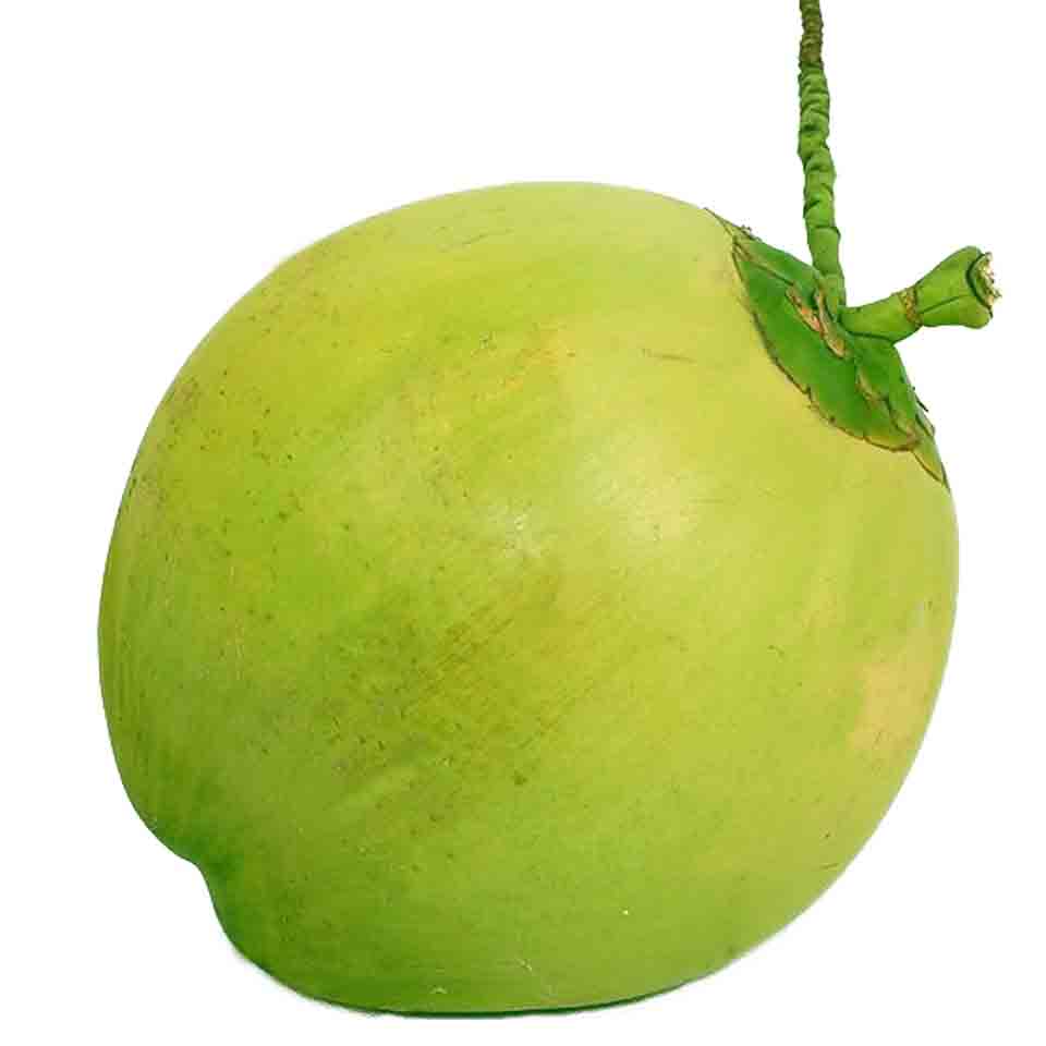  p>椰青也称青椰子,比起 a href="#" data-lemm