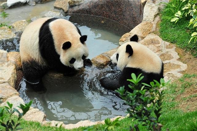 石排湾郊野公园