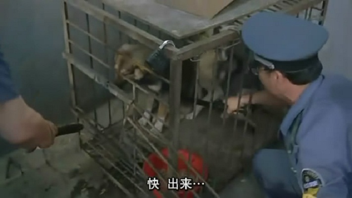 卡拉是条狗cala,mydog!(2003)