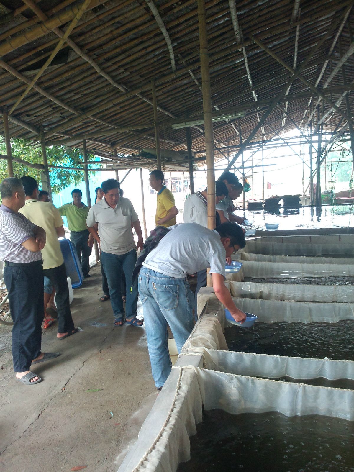 是专业孵化全雄黄颡鱼苗的鱼苗孵化基地