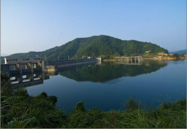 株树桥水库