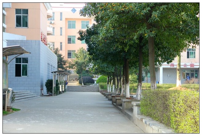 朝阳国际实验学校