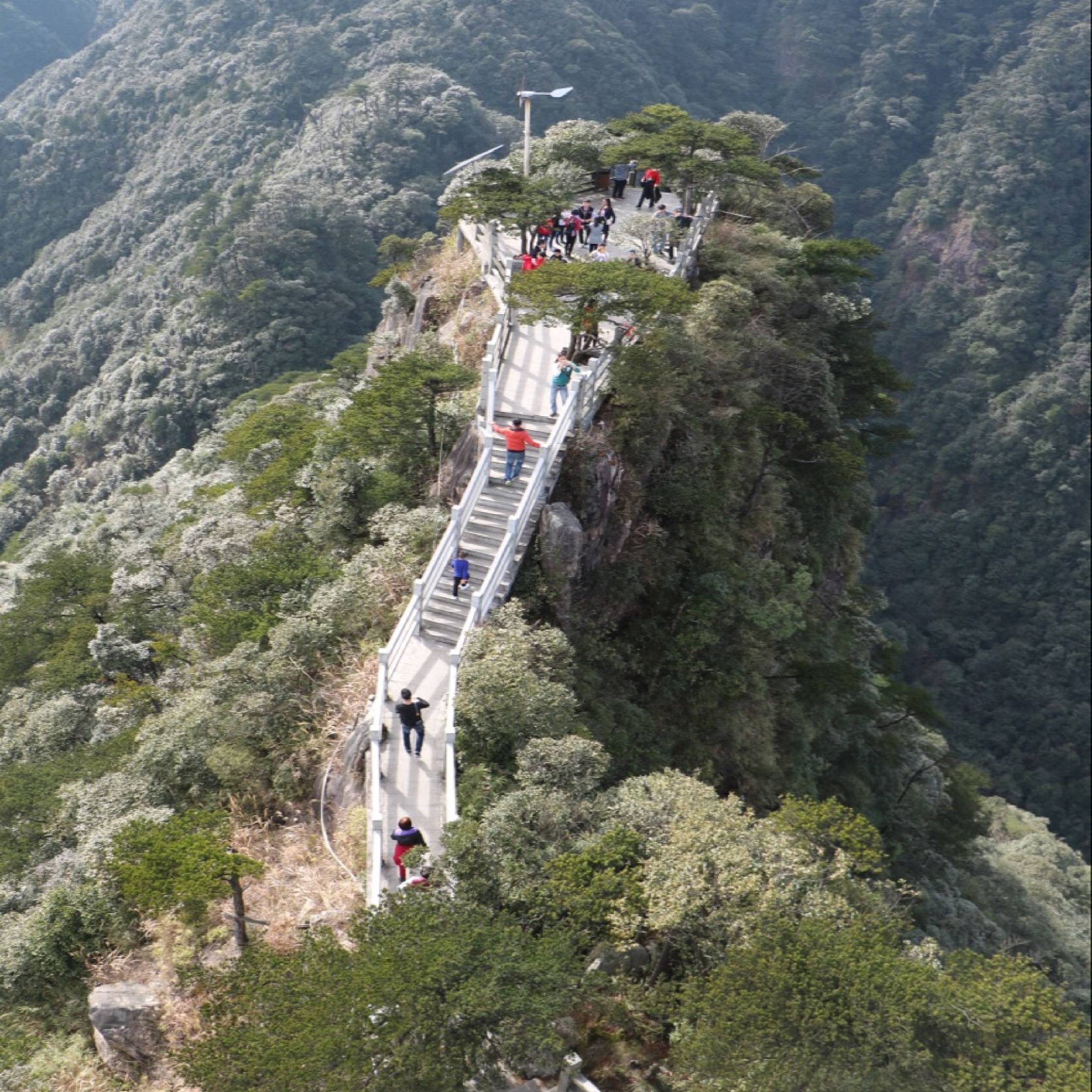 href="/item/南岭">南岭 /a>国家森林公园是广东省最大的自然保护区