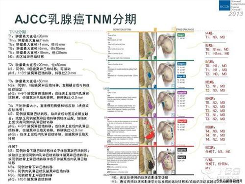  p>乳腺癌分期基本原则,更好给 a href="#" data-lemmaid="821595">