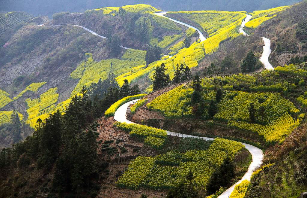 弯弯山道