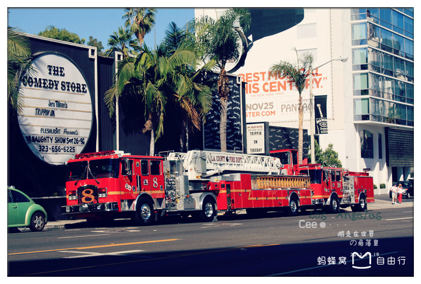 日落大道sunsetboulevard(1950)