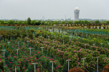 江苏省农业现代产业示范园