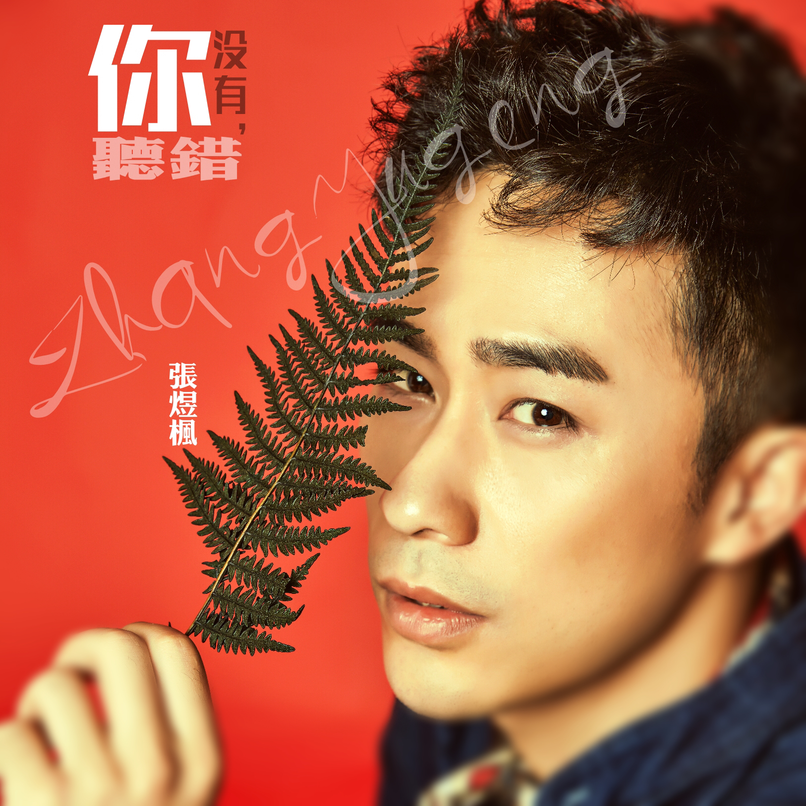  p>《你没有听错》是张煜枫演唱的歌曲,由张海风谱曲填词. /p>