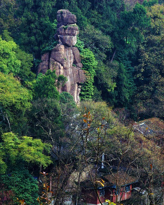 湖南不二门国家森林公园