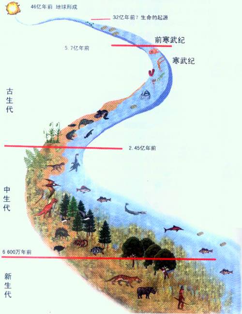 进化（生物学名词）_百度百科