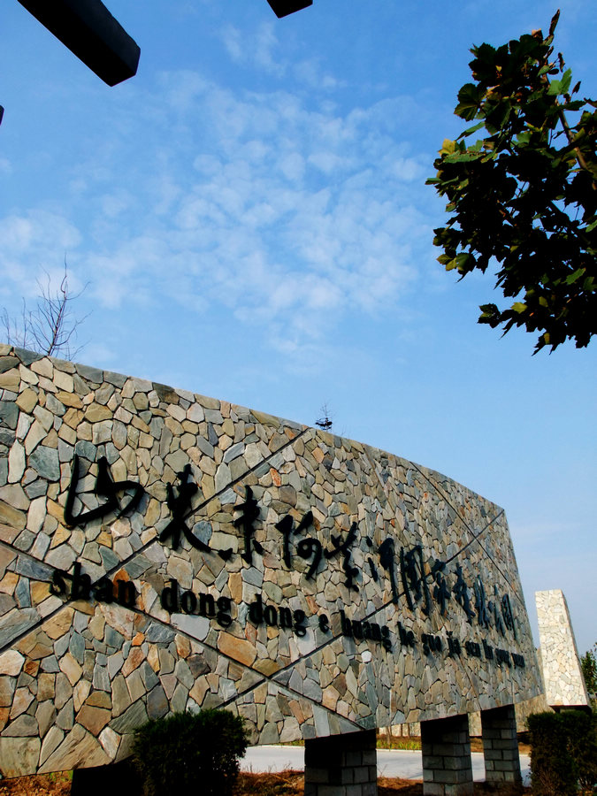 济南黄河森林公园