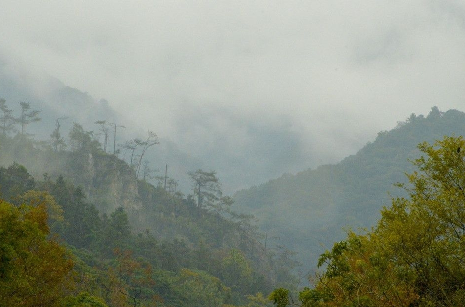  p>隐山景区位于县境西南46公里处的排头乡黄荆坪.
