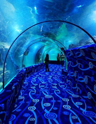  p> b>邯郸海洋公园 /b>,又称 b>邯郸海洋馆 /b>,位于河北省邯郸陵园