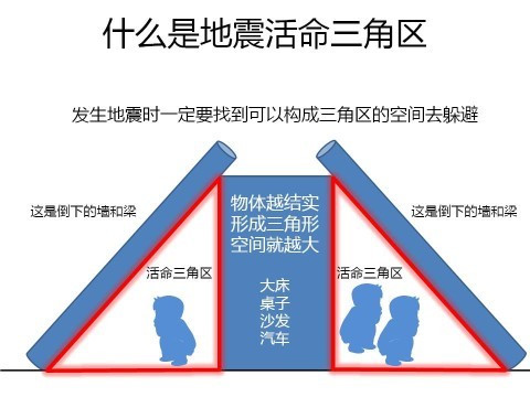 生命三角_百度百科