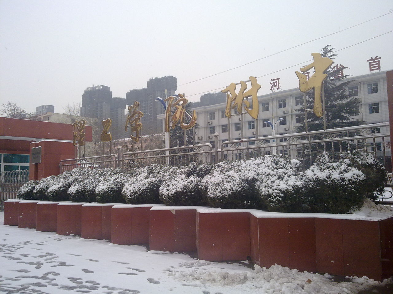 洛阳理工学院附中