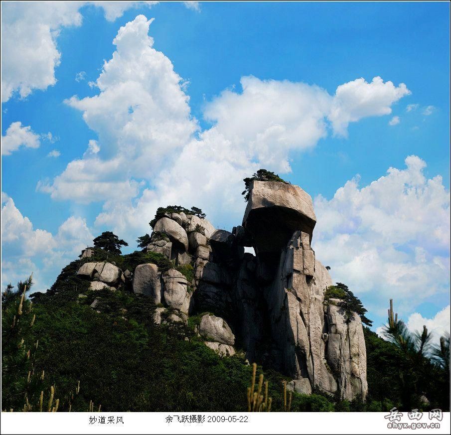 p>云顶茶园度假村位于国家a级自然保护区-中国梅花山南麓,闽西第一峰